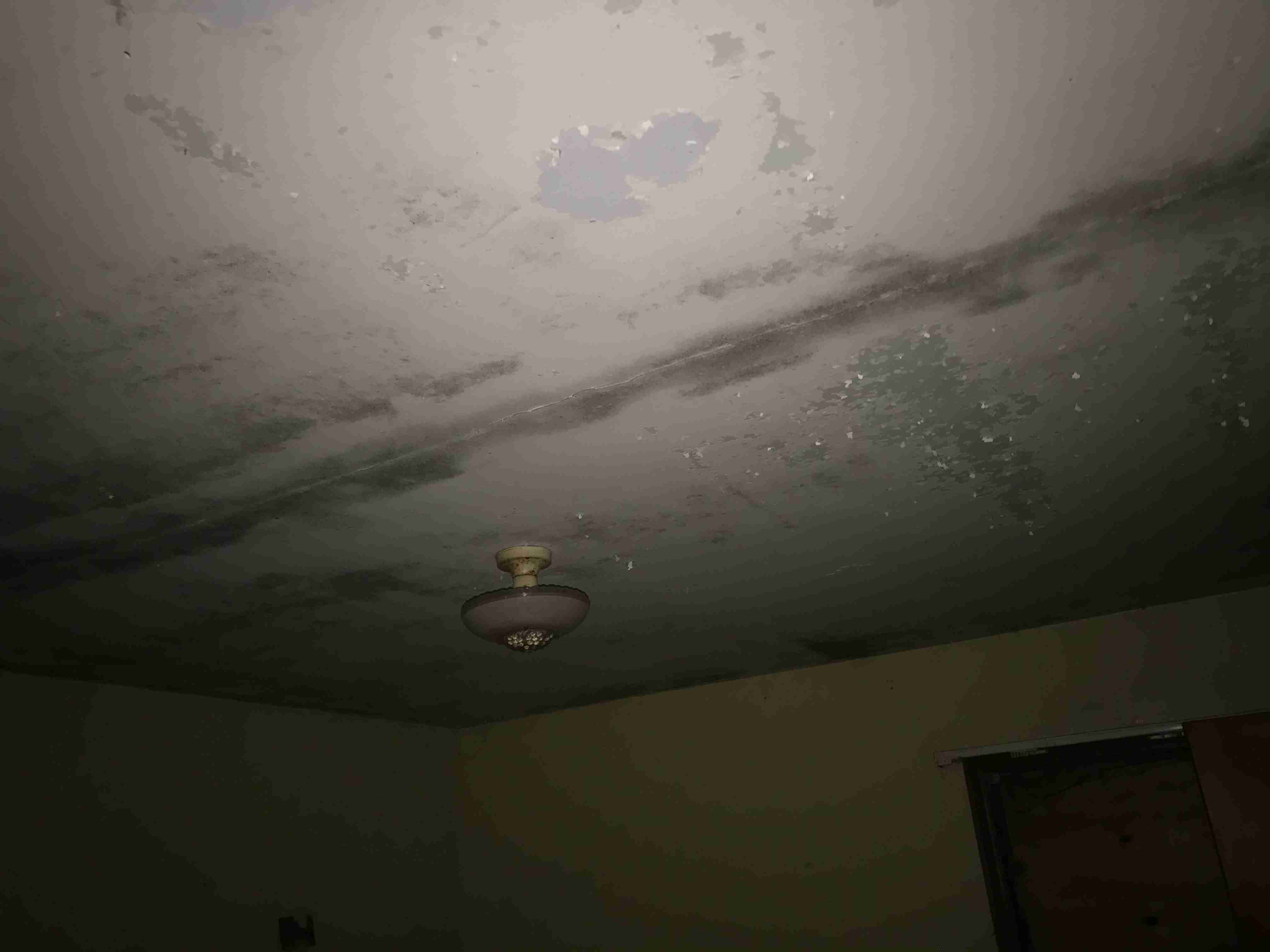 Photo Aug 20, 1 31 34 PM.jpg